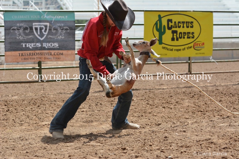 brynnlee allred jr high rodeo nephi 2015 16 - ID: 14993855 © Diane Garcia