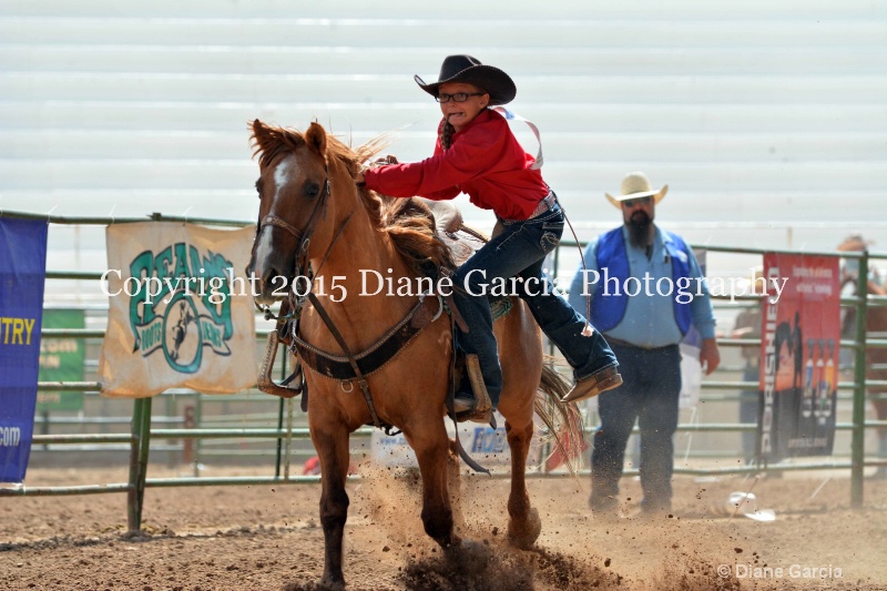 brynnlee allred jr high rodeo nephi 2015 13 - ID: 14993858 © Diane Garcia