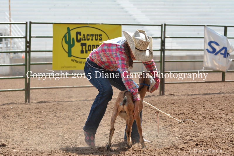 abbi bowthorpe jr high rodeo nephi 2015 12 - ID: 14993898 © Diane Garcia