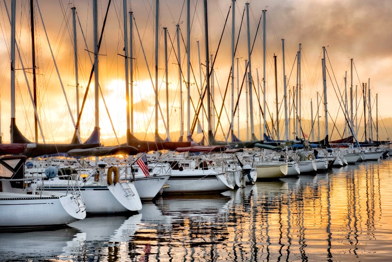 Backlit Marina