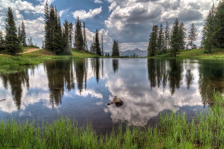 Natures Infinity Pool