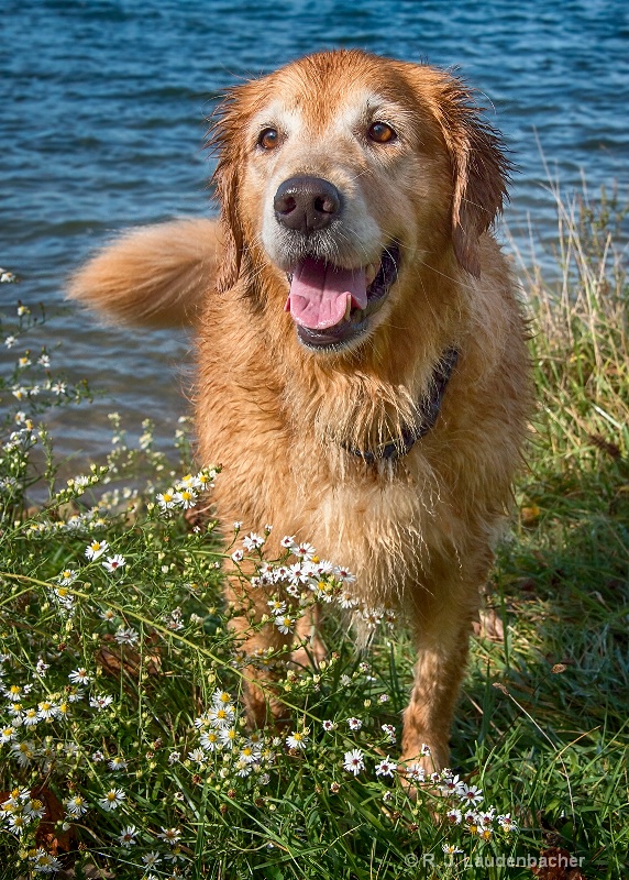 Abber's Swimming Hole