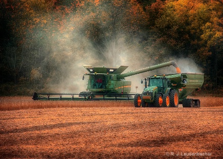 Fall Harvest