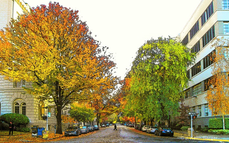 Autumn at 11th and N - ID: 15014359 © J. Keith Berger