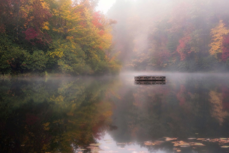 Mist on the Lake