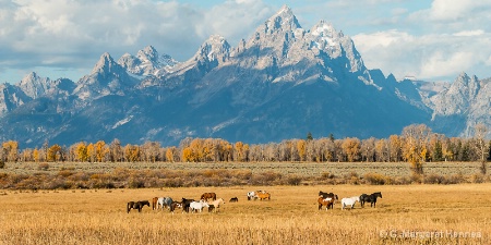 Tetons