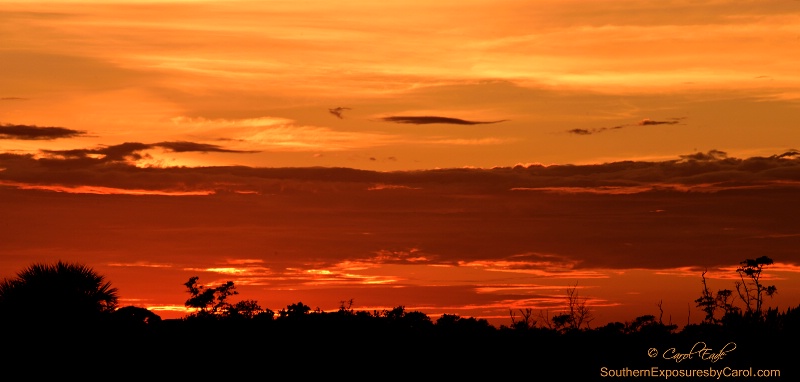 Juno Sunset - ID: 15025537 © Carol Eade