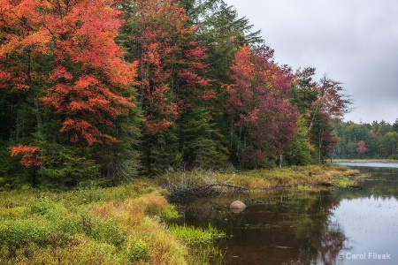 Fall on Rondaxe Road