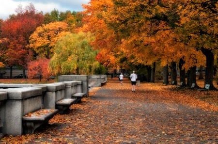 Autumn on the Esplanade