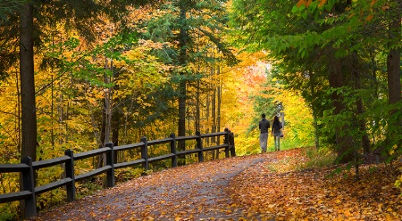 An Autumn Walk