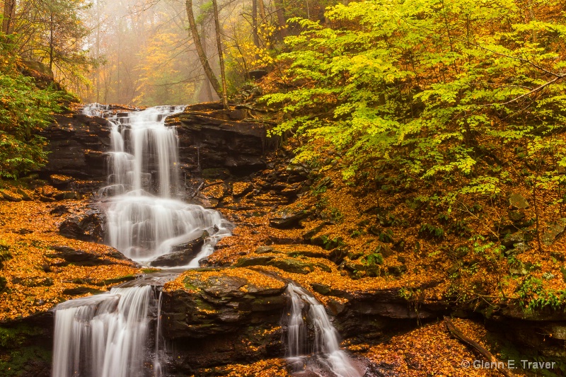 A Wet Fall Morning