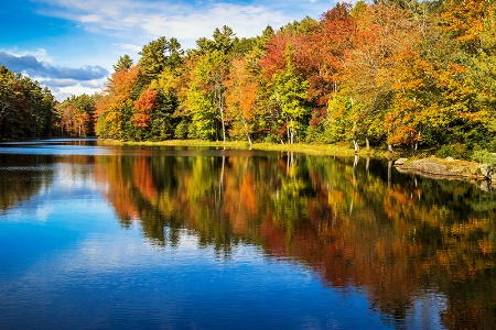 Whispering Autumn 