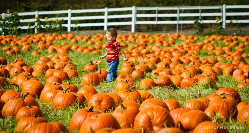 Pumpkin Picker