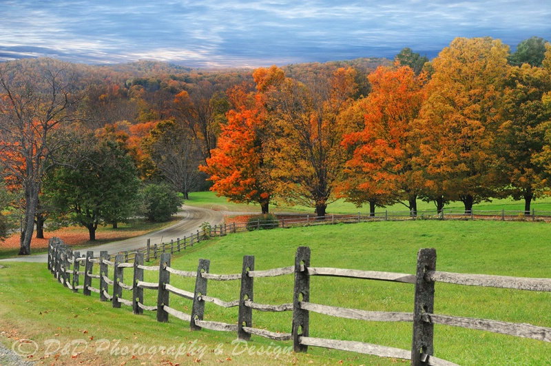 Fall in VT.