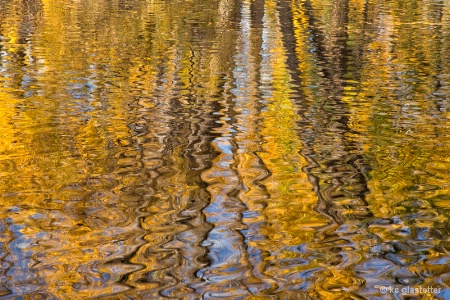 Fall Reflections