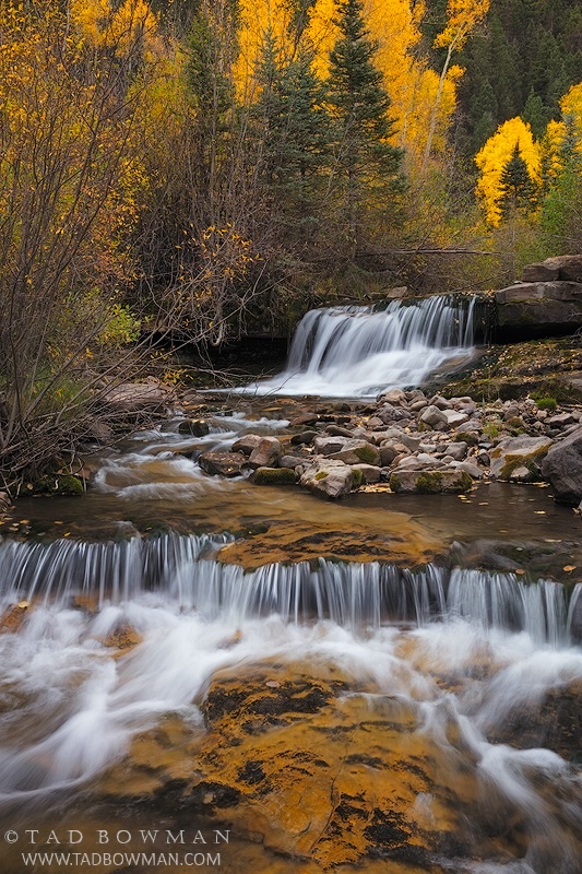 Autumn Falls