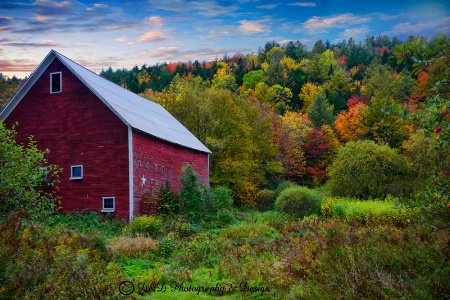 Fall in VT