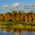2Green Cay in Autumn - ID: 15039092 © Carol Eade