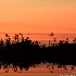 2Autumn Sunset on the Everglades - ID: 15039094 © Carol Eade