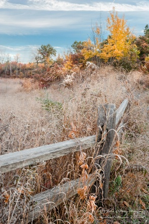 Frosty October