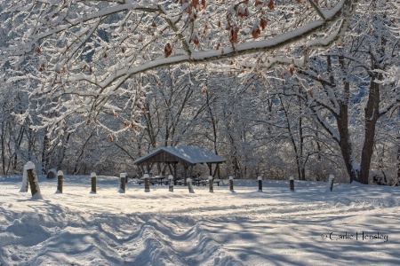 Winter Shelter