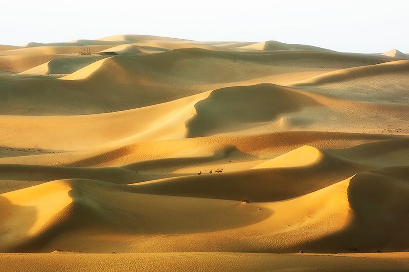 SandScape