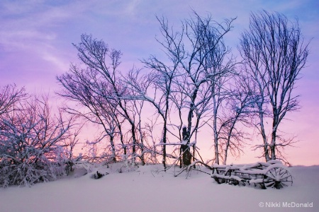 Hayrake in Winter