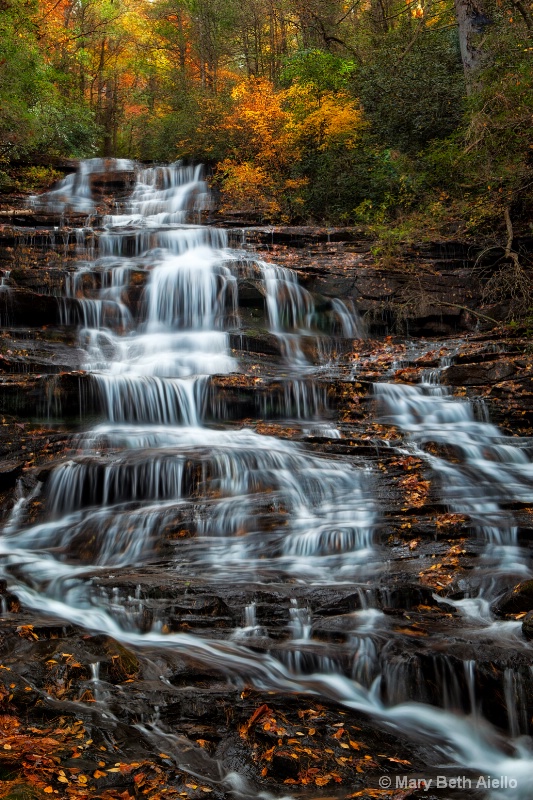 Flowing Waters