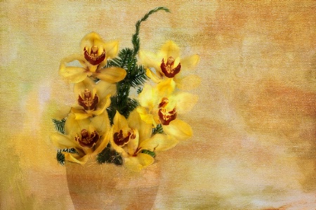 Yellow Orchids