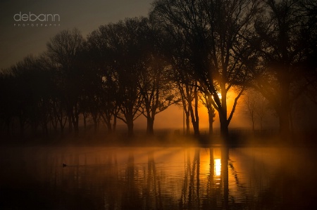 Reflections of Sunrise ~ Washington, D.C.