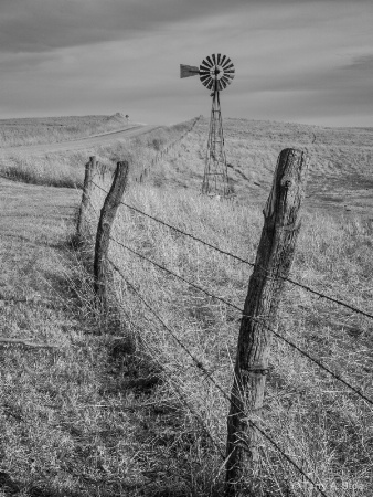 Prairiescape