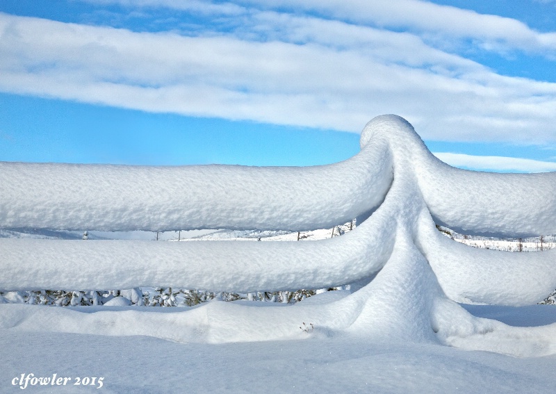 Snow Fence