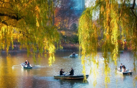 Day for Rowing Boats