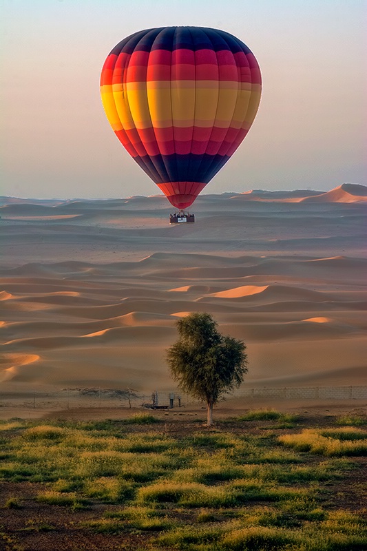 Balloon & Tree