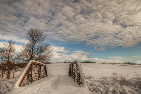 Winter Bridge