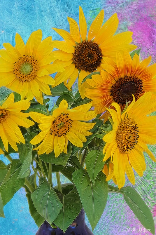 Sunflowers