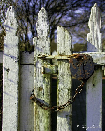 The Gate Lock