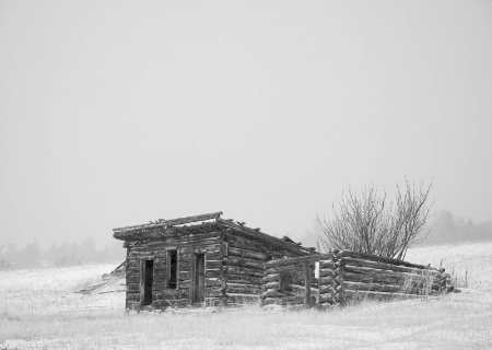 Harness Shed in Blizzard 