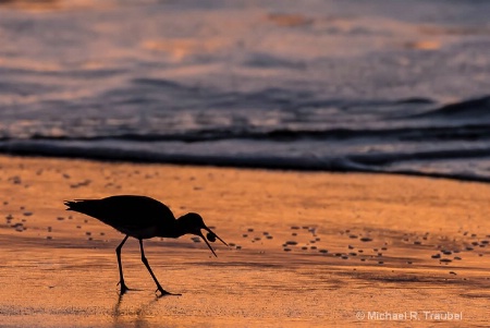 "Breakfast on the Shore"