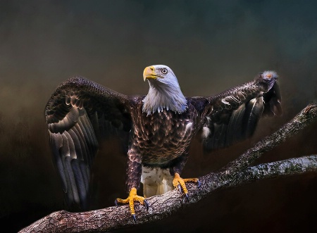 Eagle