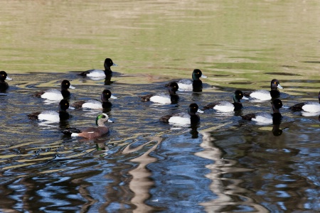 In Formation