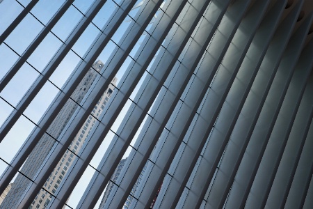 WTC PATH Station Roof