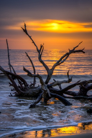 Jekyll Island Sunrise