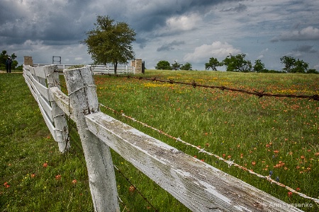 Along the Fence