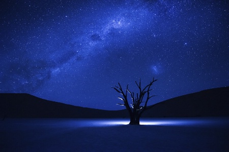 Milky Way over Dead Vlei