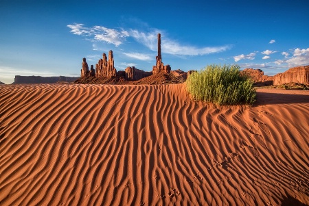 Totem Pole Rock, Yei Bi Chei with Dune Textures