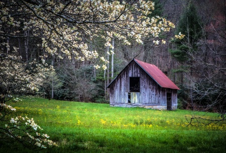 Old Barn