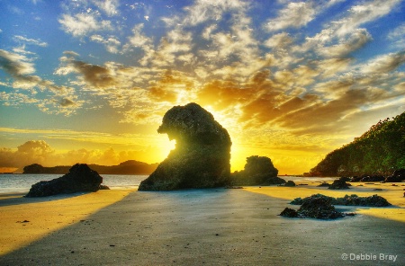 Cape Hillsborough sunrise