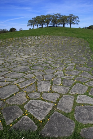 Trees All Stand