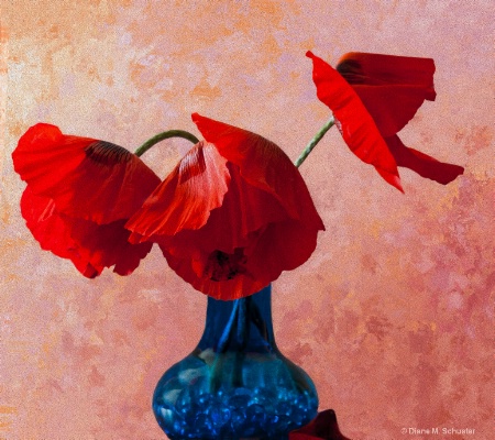 Orange Red Poppies In A Blue Vase